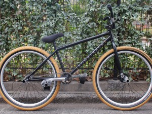 2016_1_8_bike_check_marco_bombtrack_1